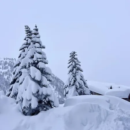 Baby Jane, Front De Neige