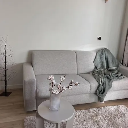 Apartment Baby Jane, Front De Neige *